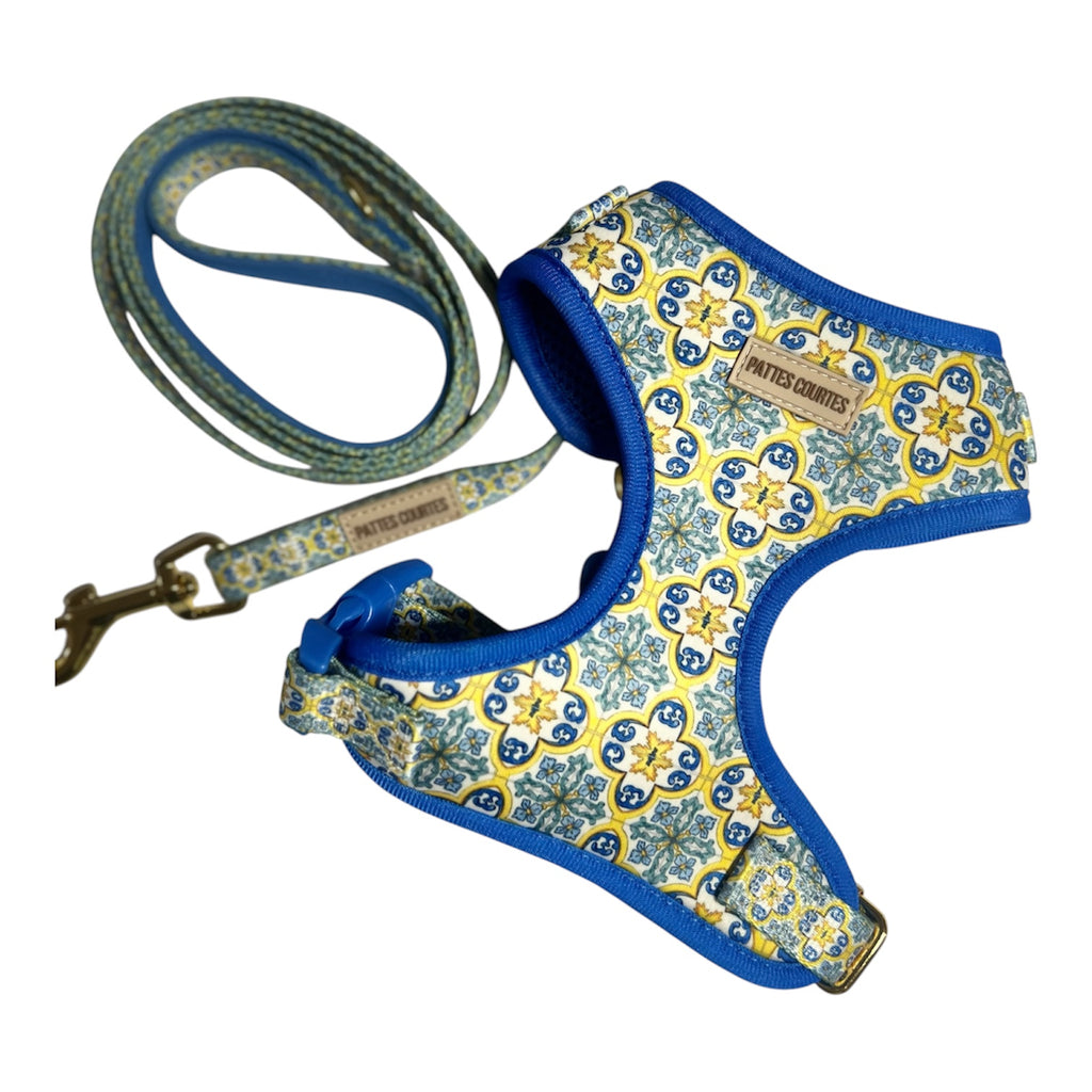 Pack Signature Riviera - Mosaïque Bleu & Or