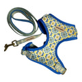 Pack Signature Riviera - Mosaïque Bleu & Or