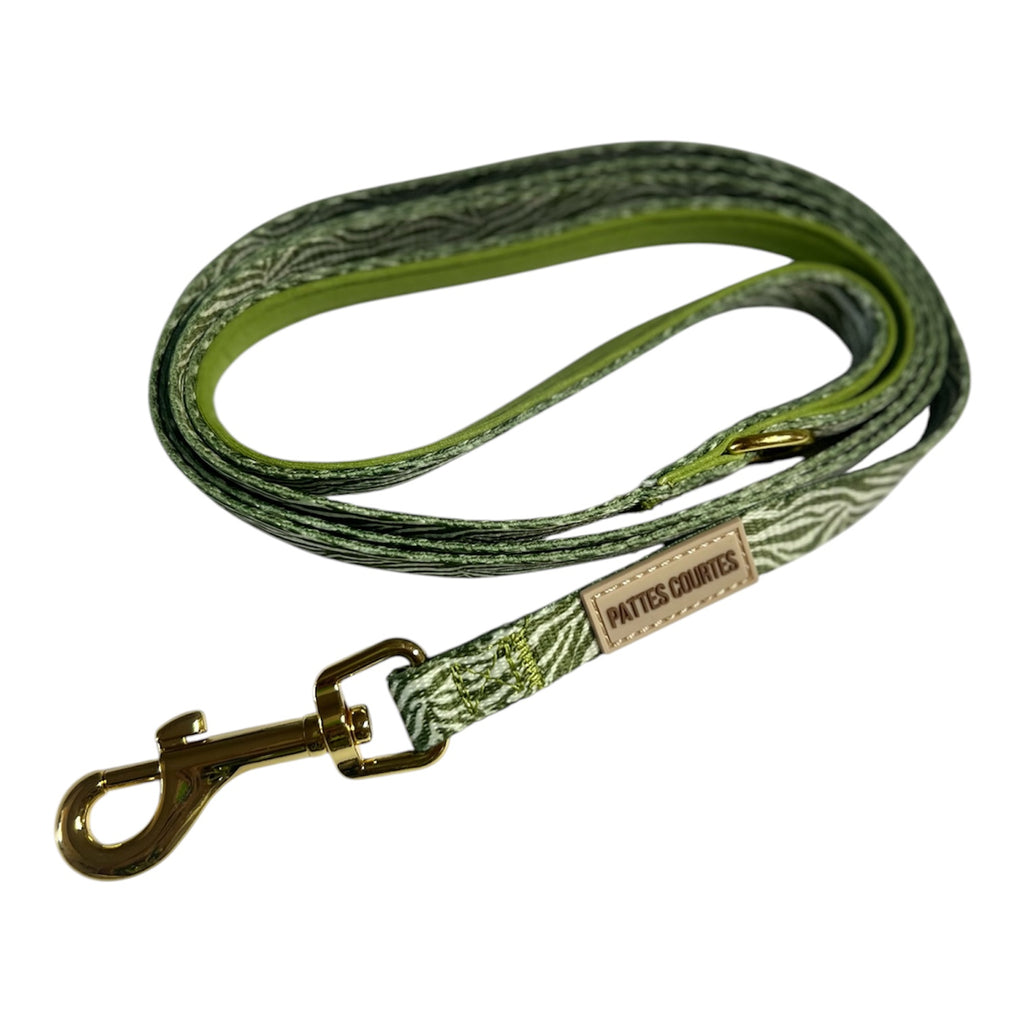 Pack Signature Oasis - Zèbre Kaki